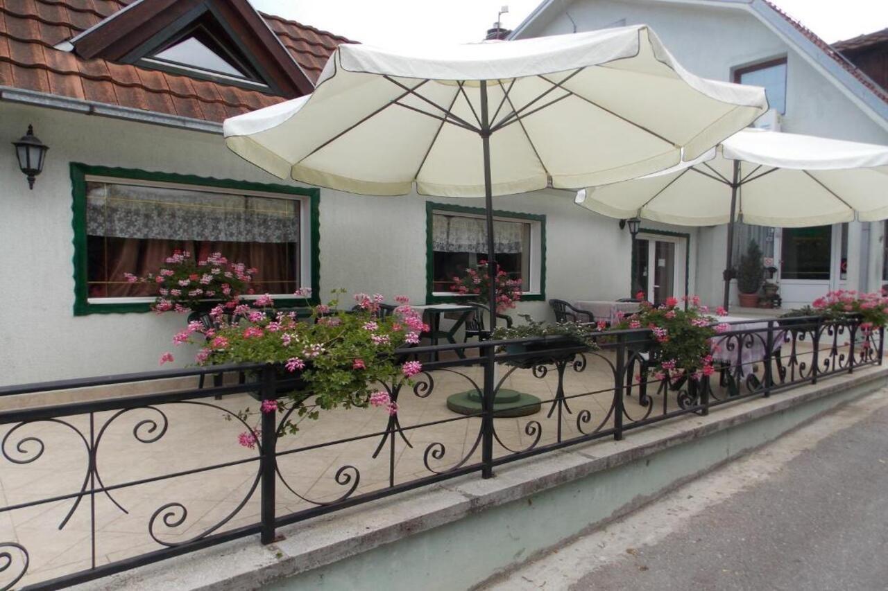 B&B Villa Evandjelina Sremska Kamenica Εξωτερικό φωτογραφία