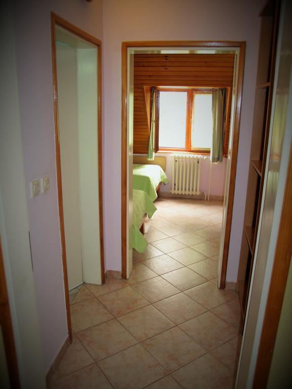 B&B Villa Evandjelina Sremska Kamenica Εξωτερικό φωτογραφία