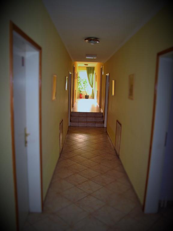 B&B Villa Evandjelina Sremska Kamenica Εξωτερικό φωτογραφία
