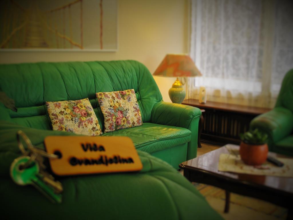 B&B Villa Evandjelina Sremska Kamenica Εξωτερικό φωτογραφία