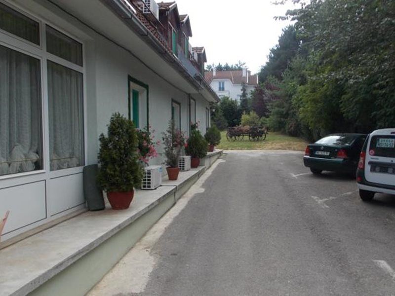 B&B Villa Evandjelina Sremska Kamenica Εξωτερικό φωτογραφία